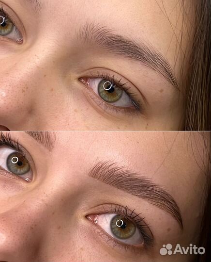 Мастер бровист