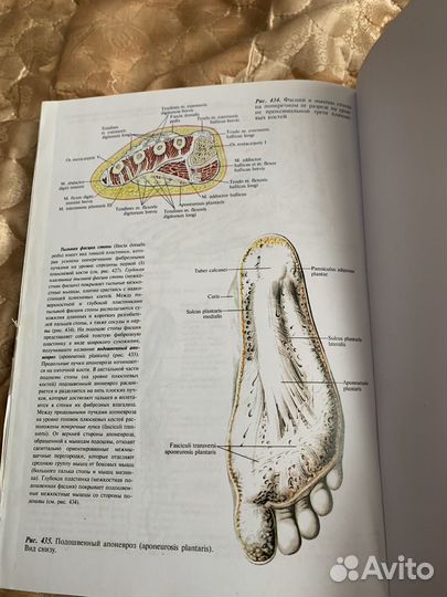 Атлас анатомии человека Сапин 1 том