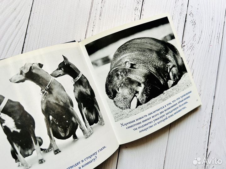 Книги-альбомы мотивационные