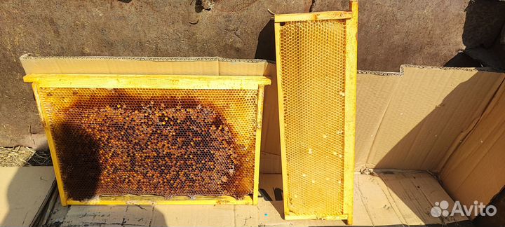 Улья рамки сушь кормушки весы