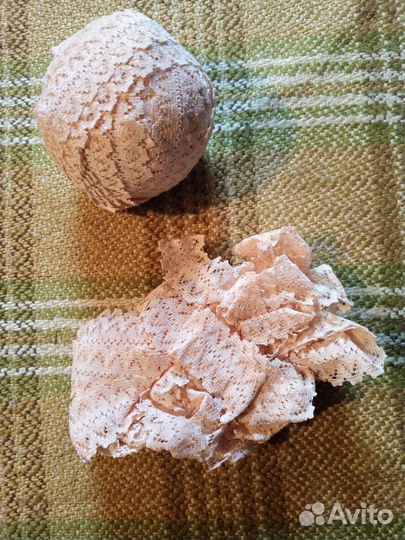 Лента кружевная беж