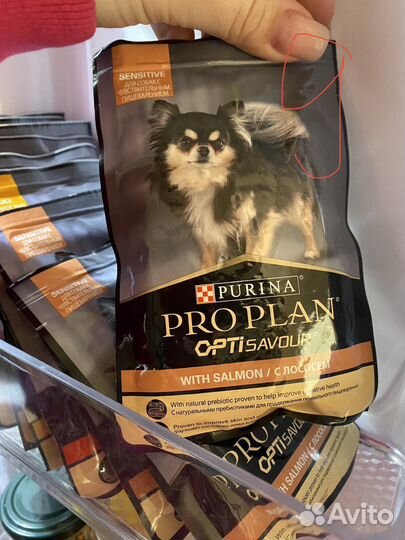 Корм для собак