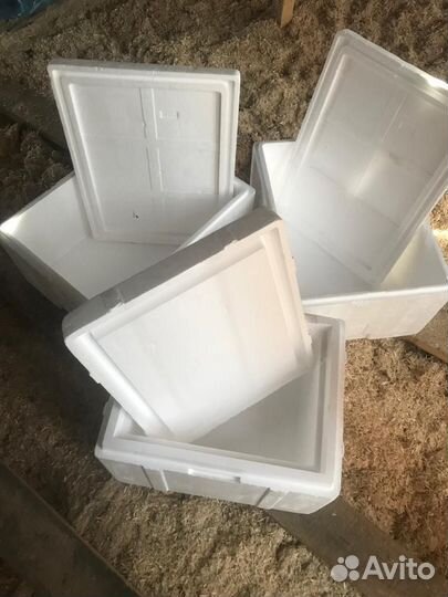 Термоконтейнер, термобокс