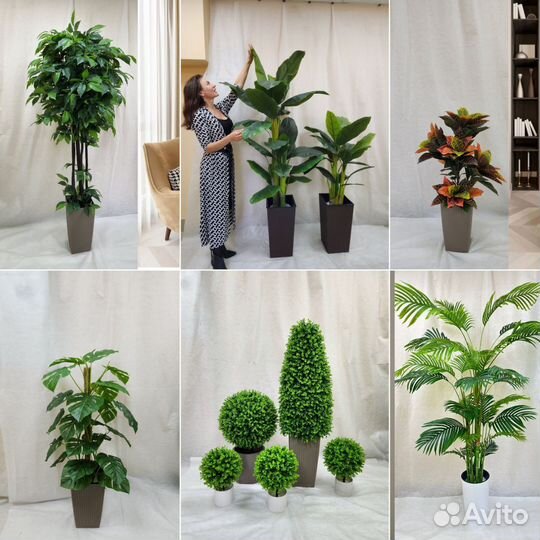 Пальма Банан Мини цветок искусственный в кафе офис