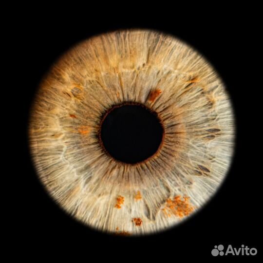 Фото радужки глаза Краснодар