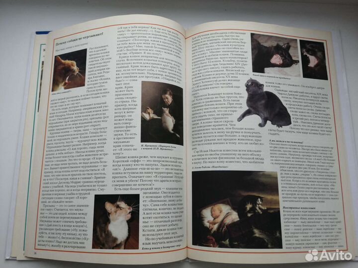 Энциклопедият тайн и загадок