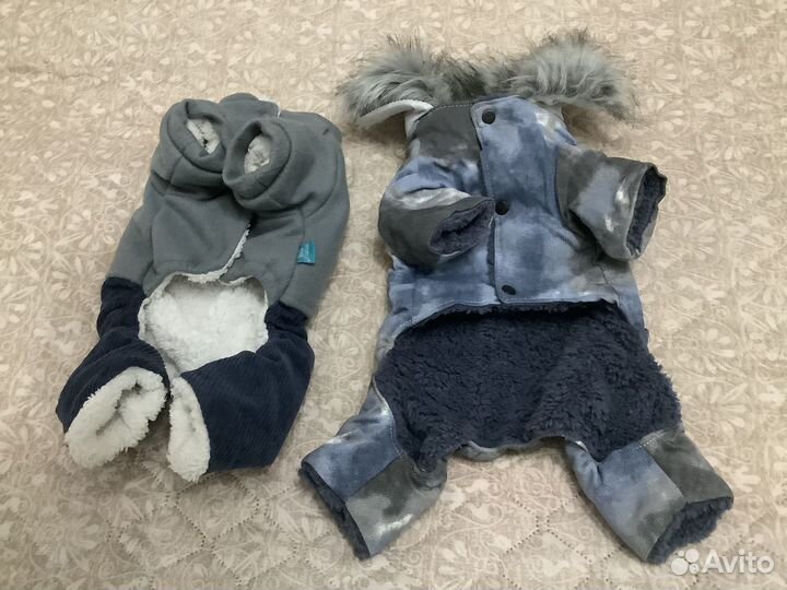 Одежда для собак мелких пород