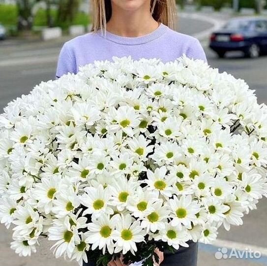Хризантема. Букеты Цветы доставка