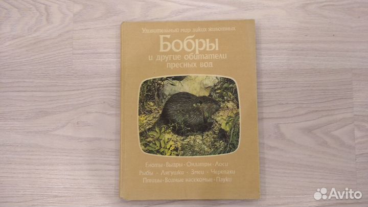 Детские книги и книги для школьников