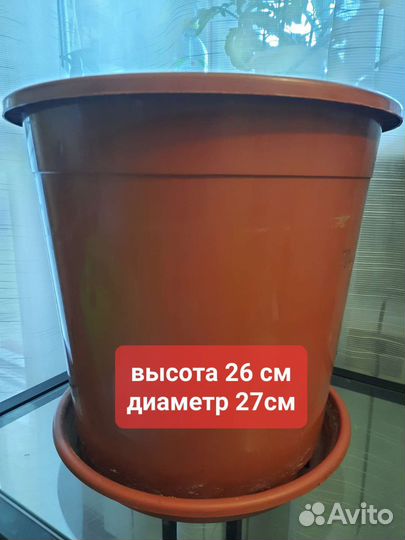 Горшок для цветов большие