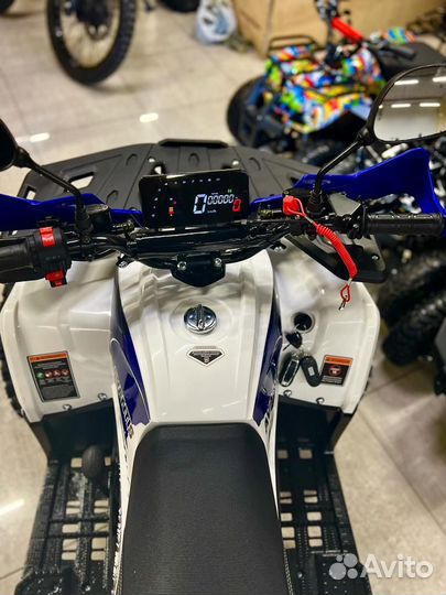 Квадроцикл Avantis Optima 8 Lux Наличие