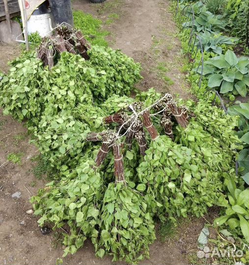Веники для бани