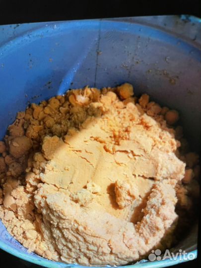 Тыква на корм