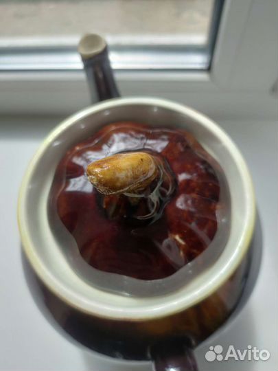 Заварочный чайник зик