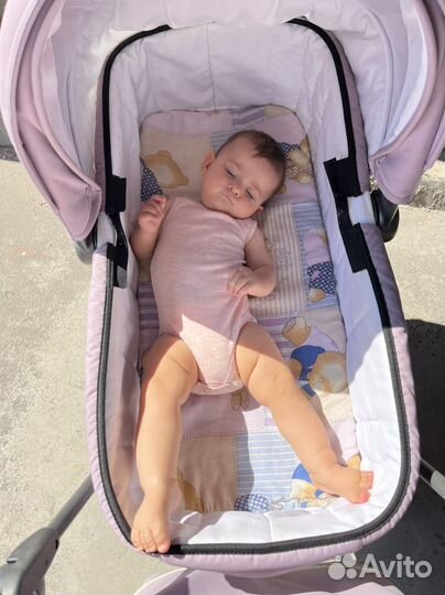 Коляска inglesina sofia