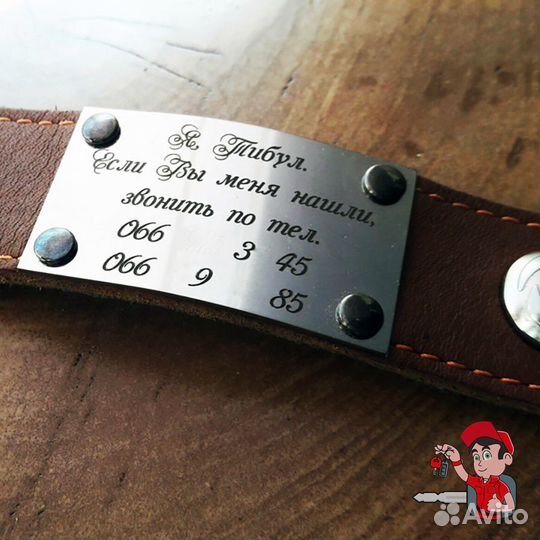 Лазерная гравировка ошейников для животных