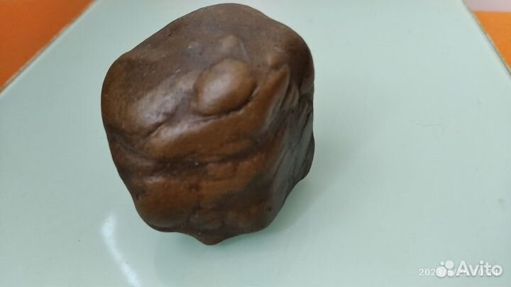 Зуб мамонта. Древняя окаменелость