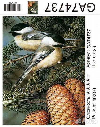 Алмазная мозаика 40x50 Синички на еловой ветке с ш