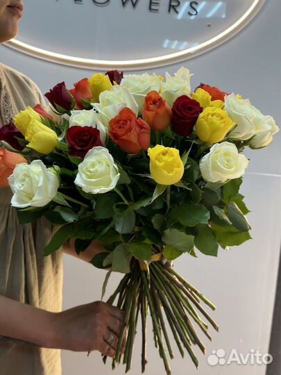 Роза 15 21 33 52 101 микс