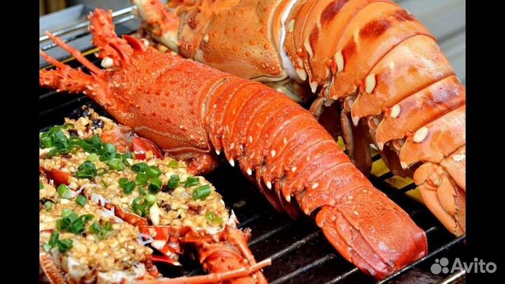 Лангуст с/м