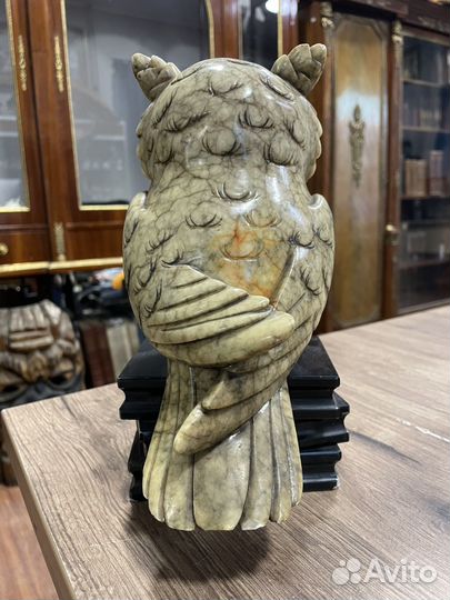 Мраморная сова