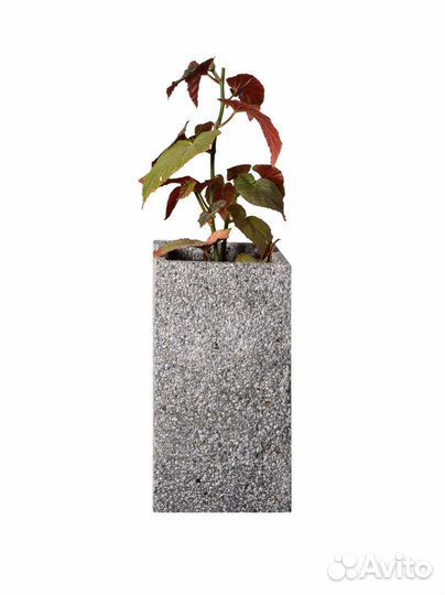 Кашпо из бетона в наличии и под заказ