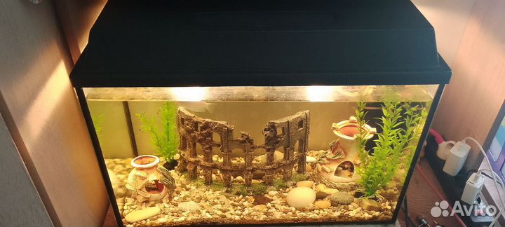 Аквариум с рыбками