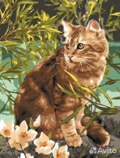 Алмазная мозаика 40x50 Милый кот возле белых цвето