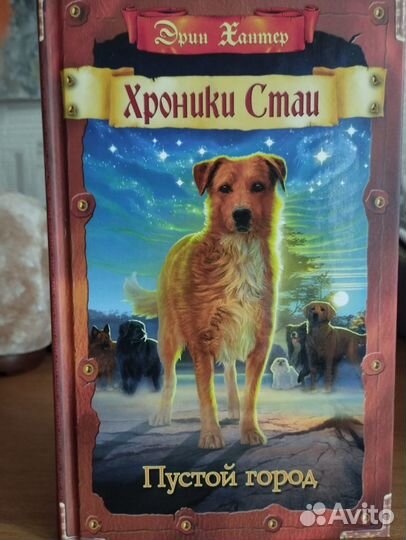 Хроники стаи «Пустой город»
