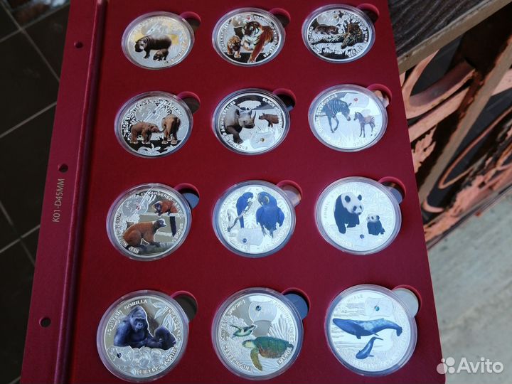 Дикая природа Замбии