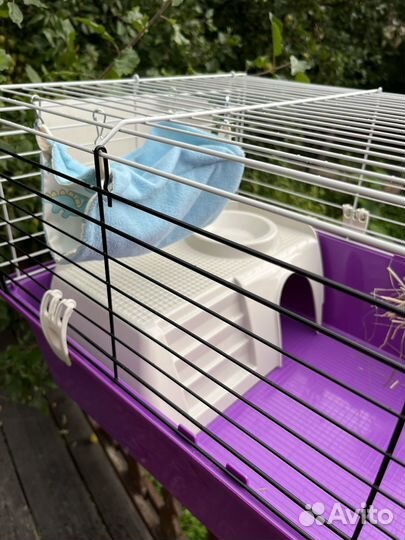 Новая клетка для грызунов Ferplast, с наполнением