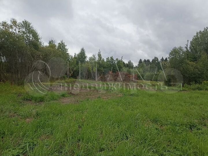 Участок 12,5 сот. (ИЖС)