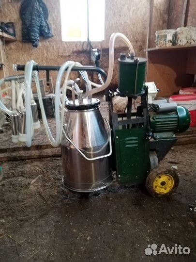 Доильный аппарат