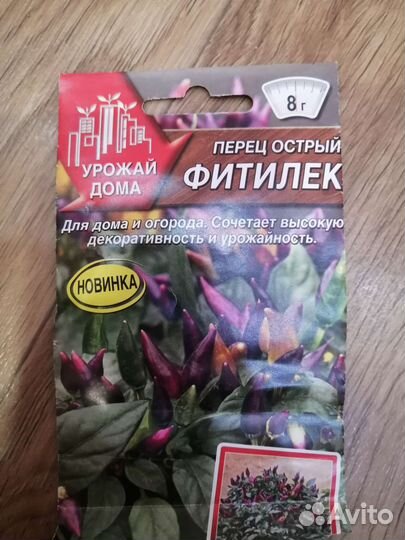 Рассада перца