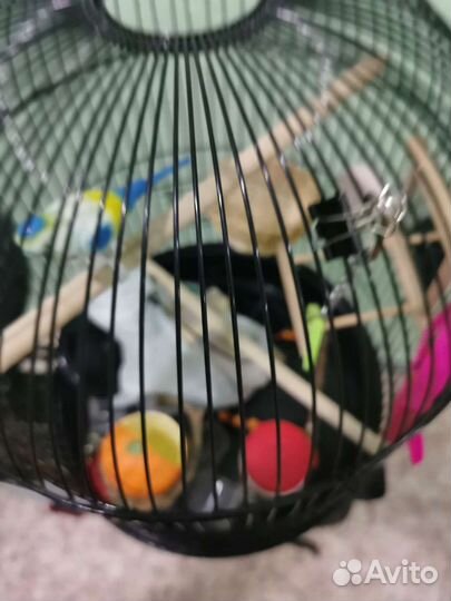 Большая клетка для птиц