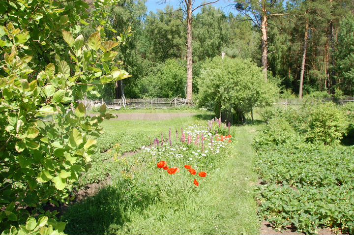 Дом 64,9 м² на участке 30 сот.