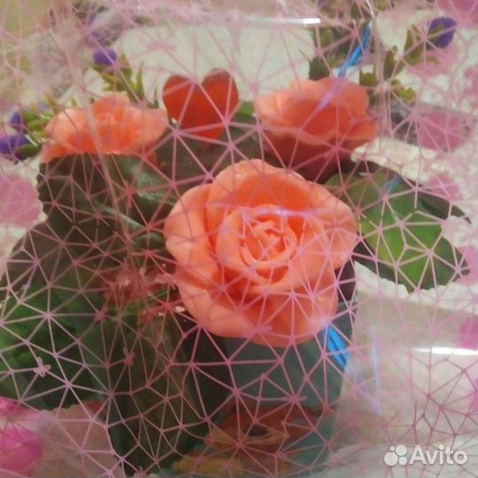 Формы для мыловарения