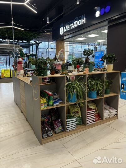 Студия цветов и декора