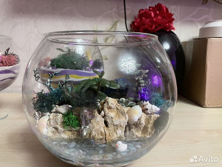 Флорариум с суккулентами