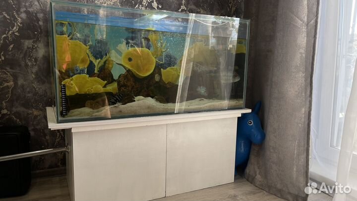 Аквариум с тумбой 200 литров
