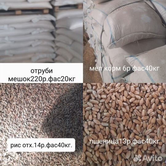 Корма для животных