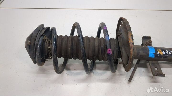 Амортизатор подвески Renault Captur 2017, 2017