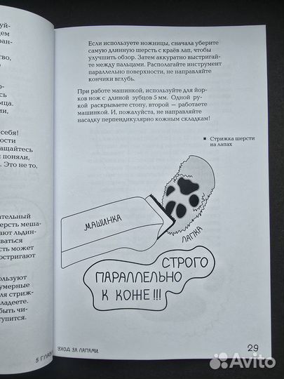 Пособие по уходу за шерстью йоркширского терьера