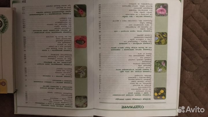 Зеленые страницы. А. А. Плешаков