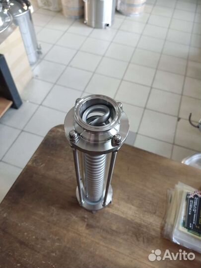 Димрот в стеклянной царге 2