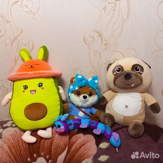 Авокадо с пледом, собака с пледом, Корги-Лалафан