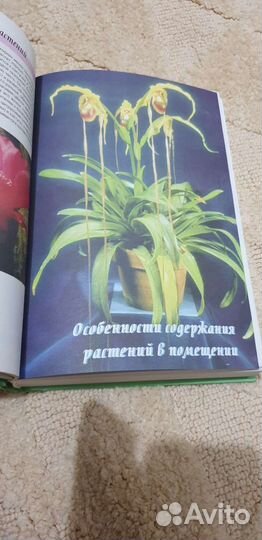 Энциклопедия комнатных растений