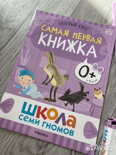 Развивающие детские книги школа семи гномов