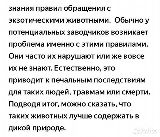 Напишу сочинение, эссе, статью