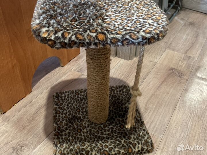 Когтеточка